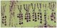 China: Records of comets from a silk manuscript, Mawangdui Tomb 3, Changhsa, c. 300 BCE